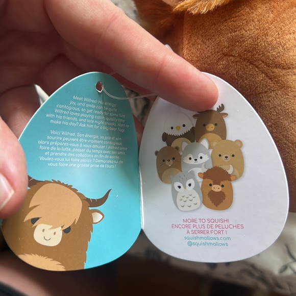 Squishmalllows highland cow Wilfred 5” - Picture 3 of 3